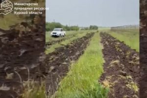 Вокруг полигона под Курском высаживают лесополосу