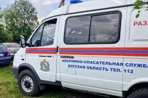 В Курской области обнаружили миномётную мину