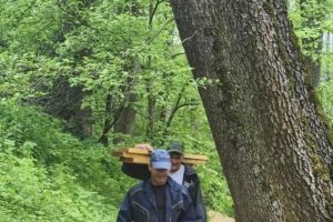 В усадьбе Фета в Курской области завершили благоустройство дорожек к ипподрому и источникам