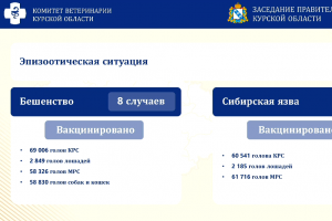В Курской области с начала года зарегистрировали восемь случаев бешенства