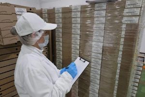 Предприятие из Курской области впервые отправило мясную продукцию на Филиппины