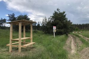 В Курской области проложили 33 км новых противопожарных полос в лесах