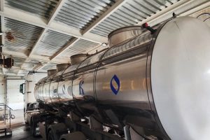 В Курской области произвели более 173 тысяч тонн молока за полгода