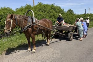 Когда выручка – это совсем не про доход