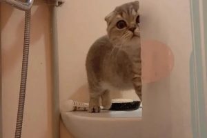 Горячую воду в Железнодорожном округе Курска дадут не раньше 6 июня