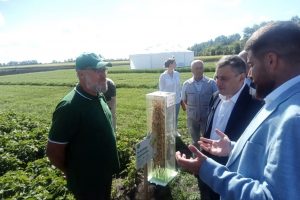 Губернатор Курской области посетил семеноводческое предприятие в Солнцевском районе