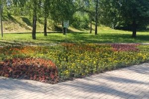В Курске на озере «Ермошкино» высадили более 16 тысяч цветов