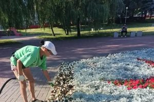 В Курске продолжают полив городских клумб и деревьев