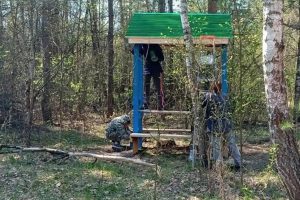 В Курской области подвели итоги противопожарного обустройства лесов за первое полугодие