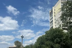 В Курске на улице Серегина снесут аварийные деревья