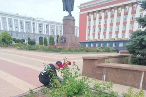 В Курске ухаживают за расстениями на 20 городских объектах