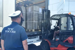 В Курскую область доставили 35 тонн рыбных консервов