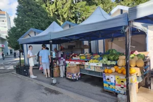 В Курске за неделю выявили 26 фактов несанкционированной уличной торговли