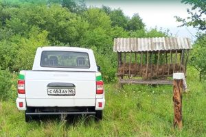Минприроды Курской области провело 98 рейдов по охране животного мира