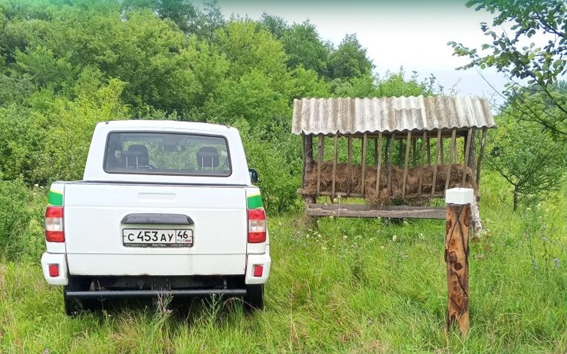В Курской области за неделю выявили пять нарушений в охотничьих угодьях