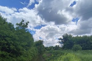 Расчистка реки Тускарь в Курске приостановлена до следующего года