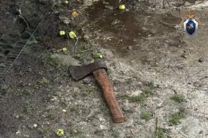 В Курском районе мужчина напал на соседку с топором, ей удалось спастись