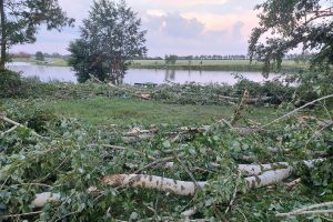 В деревне Будановка Курской области ураган унёс жизнь мужчины
