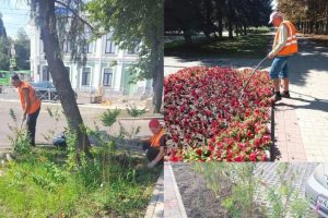В Курске озеленители пропалывают и поливают цветники в трёх округах