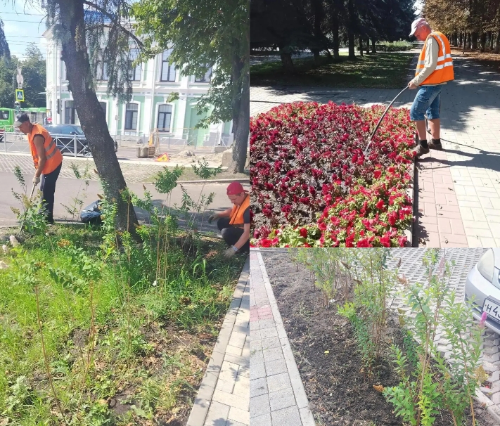 Уход за зелеными насаждениями продолжается в Курске