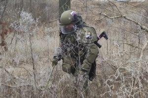 Важно быть полезным своей стране