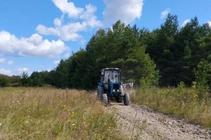 Курян предупредили об усилении патрулирования лесов из-за пожарной опасности