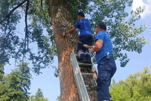 В Курске демонтировали опасные самодельные сооружения для прыжков в воду