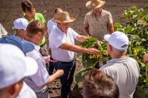 Проверено на курских полях