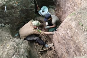 В Курске в Знаменской роще обнаружили останки 135 человек, 90 из них — дети