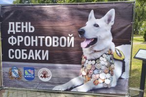 Хвостатые герои