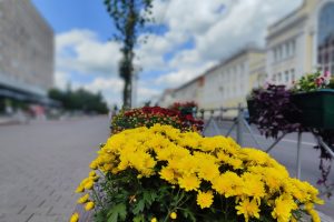 В Курске 16 августа воздух прогреется до +26 градусов