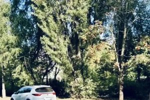 В Курске легковой автомобиль сбил девочку
