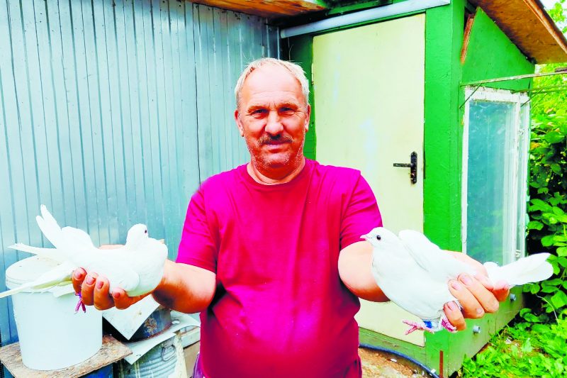 Южный красавец на курских чернозёмах