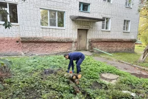 В Центральном округе Курска во время субботника вывезли 30 кубических метров мусора