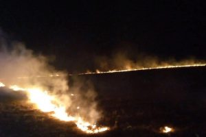 В деревне Нижний Любаж Курской области произошло возгорание травы