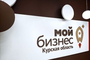 В Курской области запустили новую программу поддержки креативного бизнеса