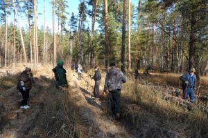 В Железногорском районе Курской области высадили 320 сеянцев сосны и 100 сеянцев дуба