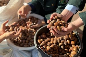 В Курской области прошла акция «Сохраним лес»