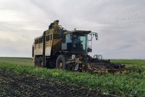 Курские аграрии получат поддержку федерального центра