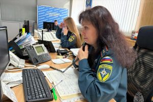 С начала года жители Курской области более 11 тысяч раз обращались в МЧС
