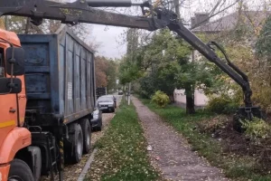 В Курске ликвидировали три незаконные свалки